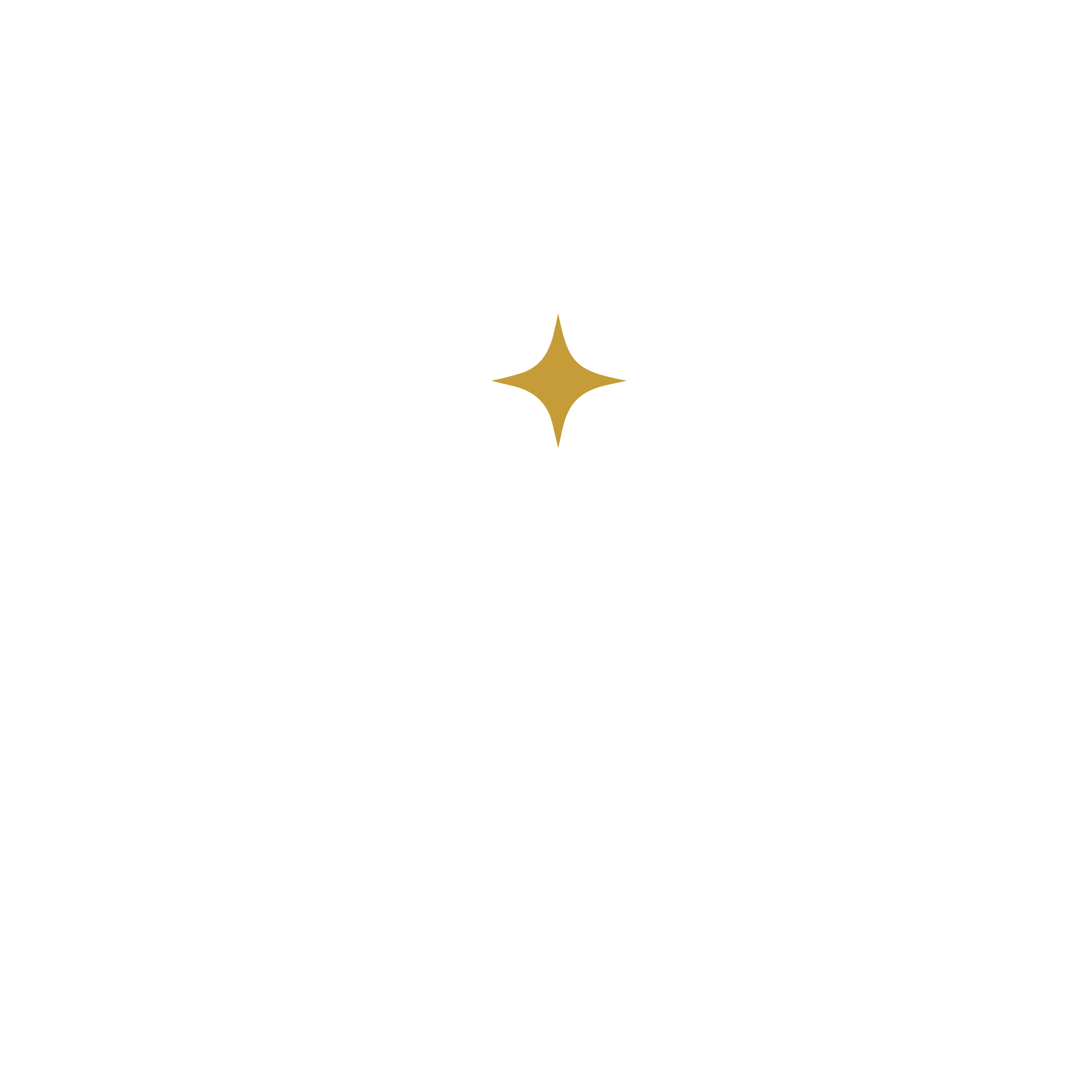 Gold Star Foundation - hands holding a heart with a gold star